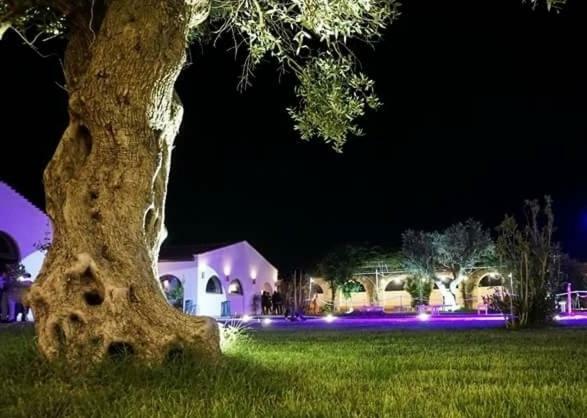 Masseria Colle Carro Ba07200451000019667 阿尔塔穆拉 外观 照片