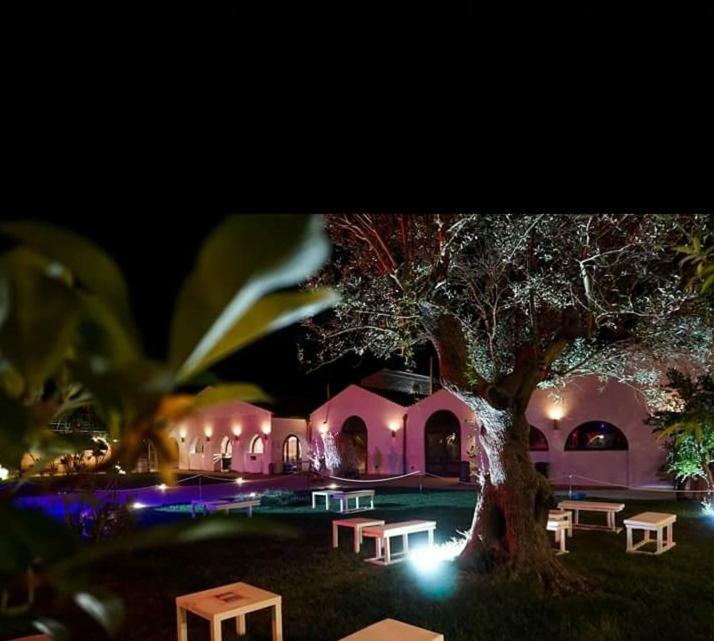 Masseria Colle Carro Ba07200451000019667 阿尔塔穆拉 外观 照片