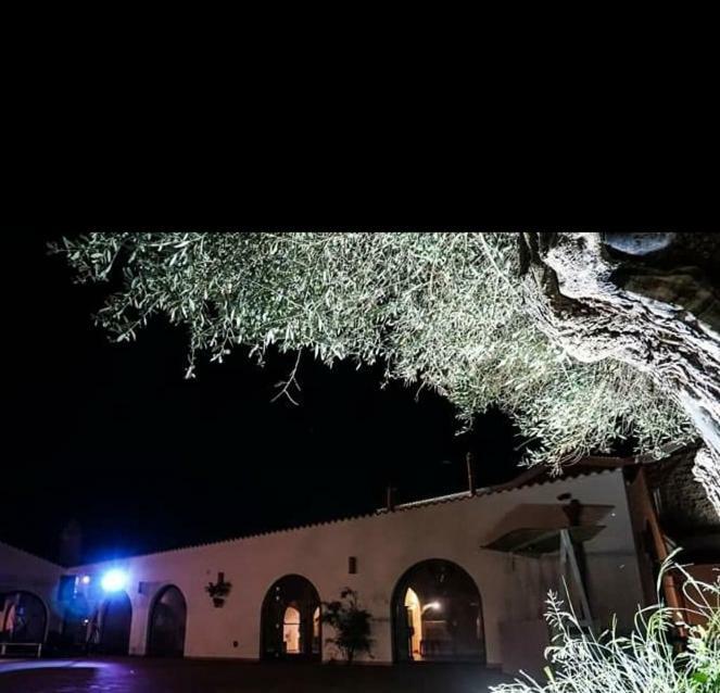 Masseria Colle Carro Ba07200451000019667 阿尔塔穆拉 外观 照片