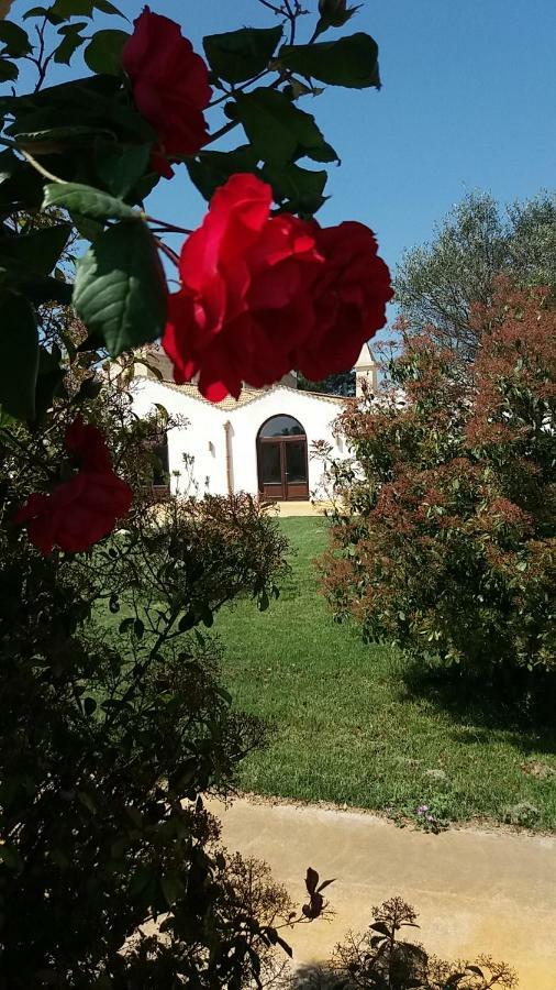 Masseria Colle Carro Ba07200451000019667 阿尔塔穆拉 外观 照片